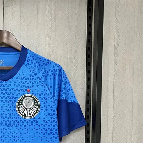 202425 Palmeiras Blue Goalkeeper jersey Fan Version
