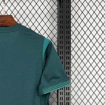 202526 Nigeria Away Jersey Fan Version