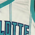 NBA Charlotte Hornets V-Neck 75th Anniversary WHITE Jersey OUBRE JR.#12 S-XXL