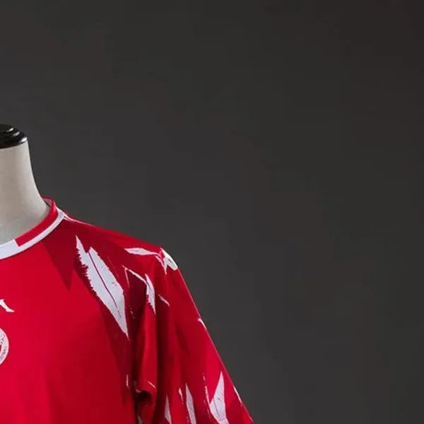 Tunisia 2026 World Cup Away Jersey Fan Version