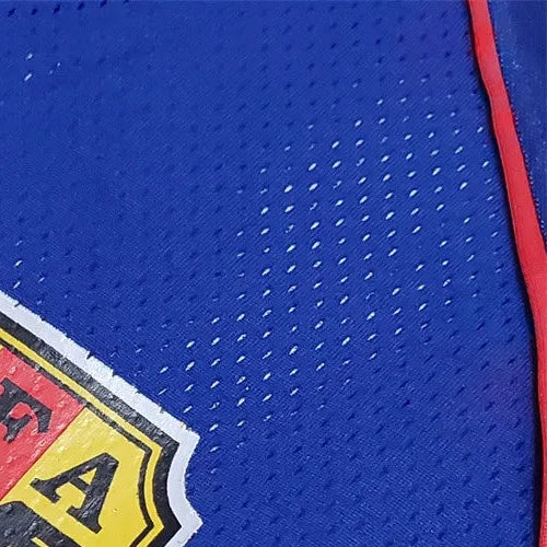 Retro Japan 2002 Home jersey Fan Version