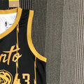 NBA Toronto Raptors V-Neck Black 75th Anniversary Jersey SIAKAM#43 S-XXL