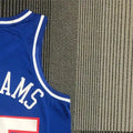 NBA Scaramento Kings V-Neck Blue jersey WILLIAMS#55 S-XXL