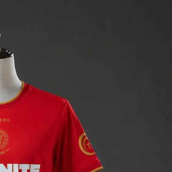 202627 Middlesbrough Home Jersey Fan version