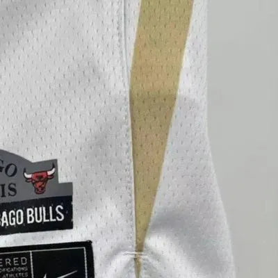 NBA Chicago Bulls 2025 Swingman City Edition Jersey LAVINE#8 s-xxl