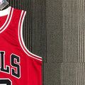 NBA Chicago Bulls Round Neck Red 75th anniversaryJersey PIPPEN#33 S-XXL