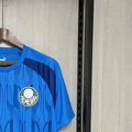 202425 Palmeiras Blue Pre-Match Training jersey Fan Version