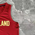 NBA Cleverland Cavaliers Round Neck Red jersey HARDEN#1