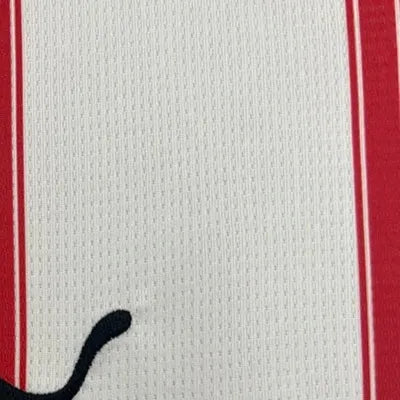 202526 Girona Home jersey Fan version