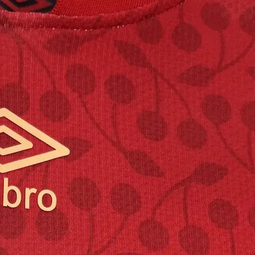 202425 Bournemouth Red Special Edition Jersey Fan Version