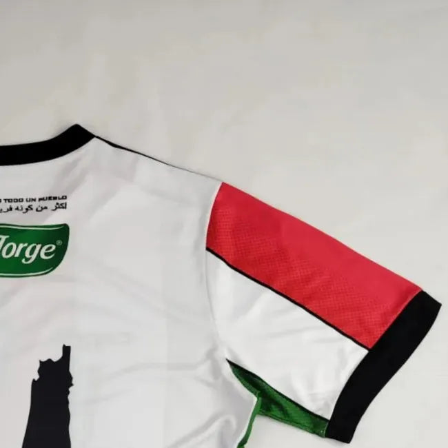 202223 CD Palestino Special Edition Jersey Fan Version