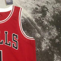 NBA Chicago Bulls ROSE#1 202223 Red Icon Edition Swingman Jersey S-XXL