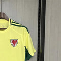 202425 Wales Away Jersey Fan Version