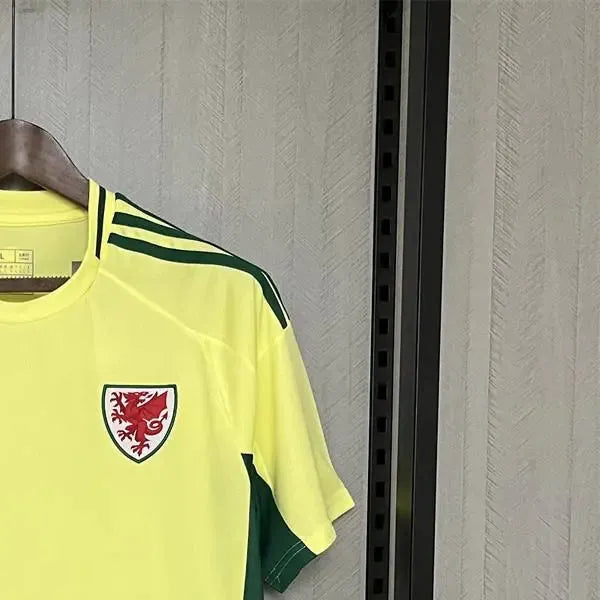 202425 Wales Away Jersey Fan Version