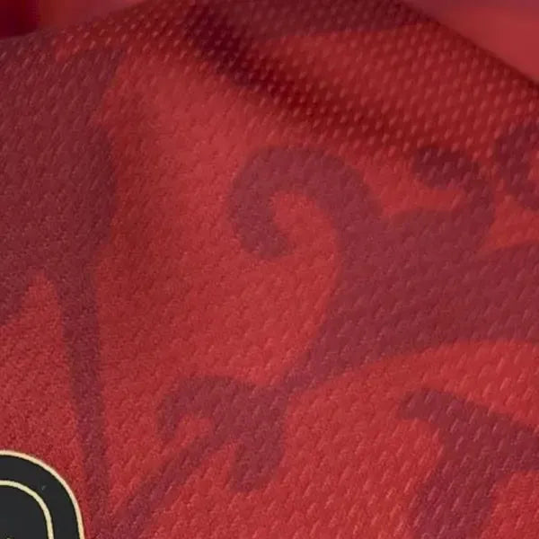 202425 FC Versailles Third Jersey Fan Version