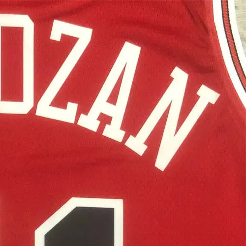 NBA Chicago Bulls DeROZAN#11 202223 Red Icon Edition Swingman Jersey S-XXL