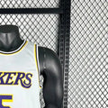 NBA Los Angeles Lakers AYTON#5 202223 White Association Edition Swingman Jersey S-XXL