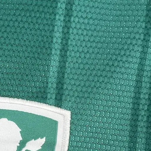 202425 Aston Villa Special Edition Jersey Fan Version