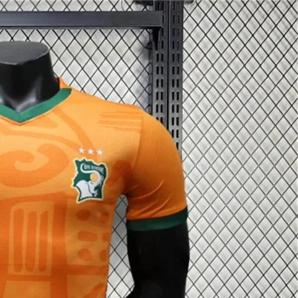 2425 Ivory Coast home Special edition Jersey Player Version