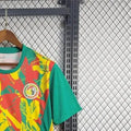 202425 Senegal Pre-match training shirt Jersey Fan Version