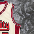 NBA Portland Trail Blazers V-Neck White Jersey ROY#7 S-XXL