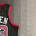 NBA Chicago Bulls Round Neck Black 75th AnniversaryJersey PIPPEN#33 S-XXL