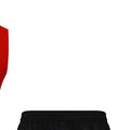 202526 Flamengo Red Training Set Shirt and Shorts