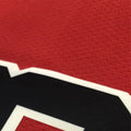 NBA Chicago Bulls Round neck Red Jersey LAVINE#8 S-XXL