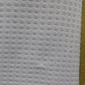 2425 Al-Nassr Second Away Special edition Jersey Player Version