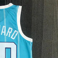NBA Charlotte Hornets V-Neck Light Blue 75th Anniversary Jersey HAYWARD#20 S-XXL