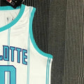 NBA Charlotte Hornets V-Neck White 75th Anniversary Jersey HAYWARD#20 S-XXL