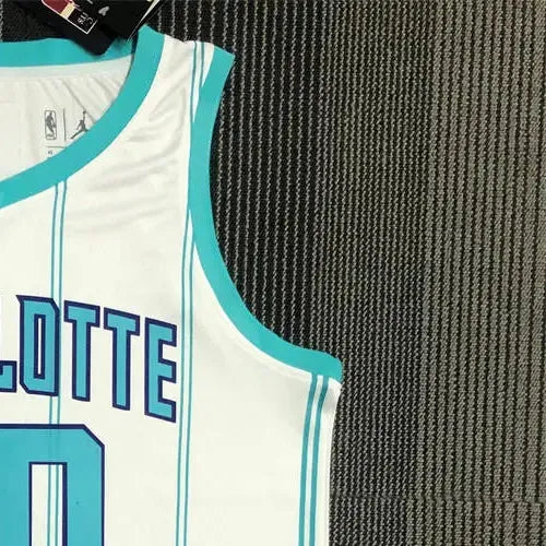 NBA Charlotte Hornets V-Neck White 75th Anniversary Jersey HAYWARD#20 S-XXL