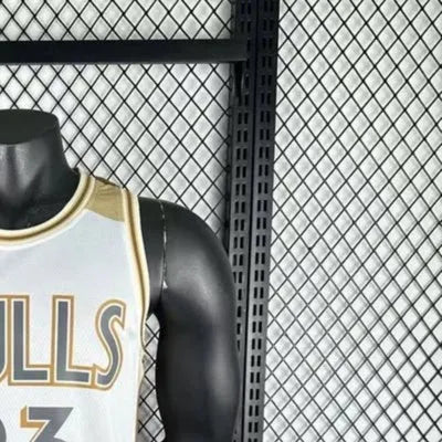 NBA Chicago Bulls 2025 Swingman City Edition Jersey JORDAN#23 s-xxl