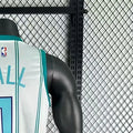 NBA Charlotte Hornets V-Neck White Jersey BALL#1