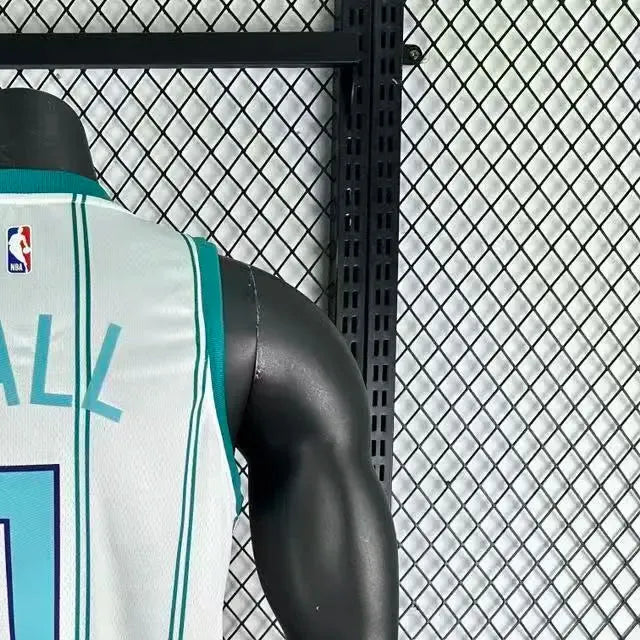 NBA Charlotte Hornets V-Neck White Jersey BALL#1