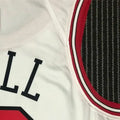 NBA Chicago Bulls Round Neck White 75th anniversaryJersey BALL#2 S-XXL