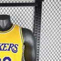 NBA Los Angeles Lakers HOWARD#39 202223 Gold Association Edition Swingman Jersey S-XXL
