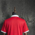 2026 Wales 150th Anniversary Edition Jersey Fan Version