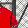 202526 Lille Home jersey Fan version