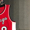 NBA Chicago Bulls Round Neck Red 75th anniversaryJersey LAVINE#8 S-XXL