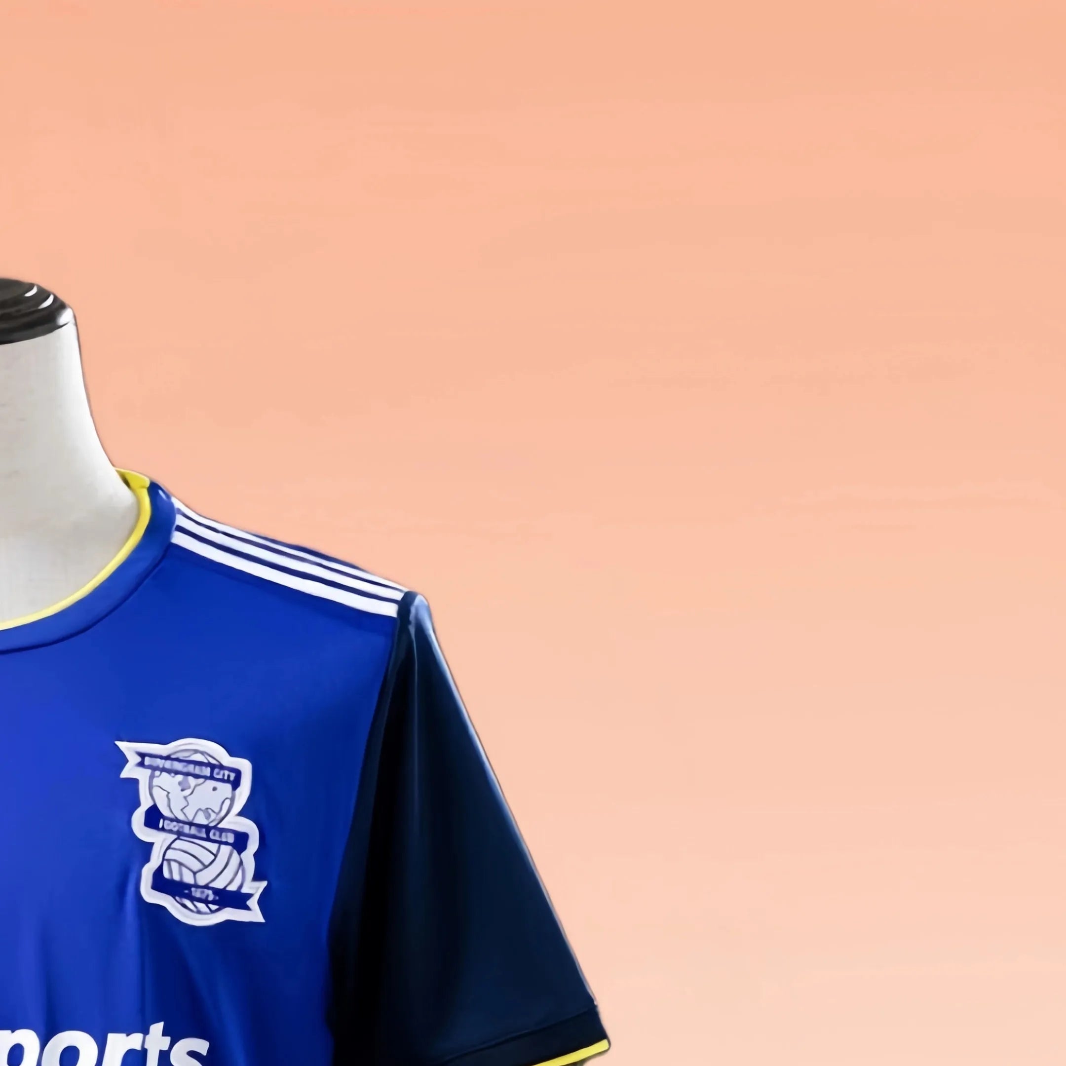 Retro Birmingham City F.C 199596. Home jersey Fan Version