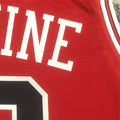 NBA Chicago Bulls LAVINE#8 202223 Red Icon Edition Swingman Jersey S-XXL