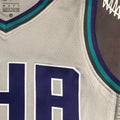 NBA Charlotte Hornets V-Neck Grey Jersey S-XXL