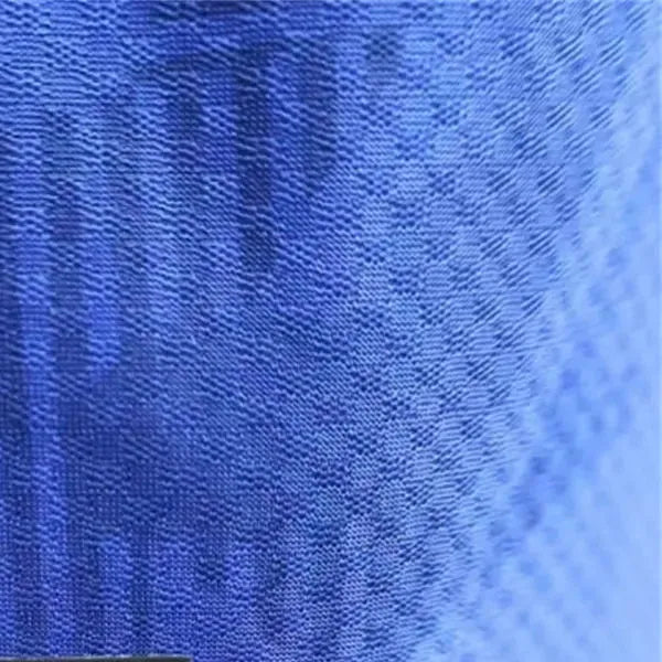 2425 Everton Home Special edition Jersey Player Version