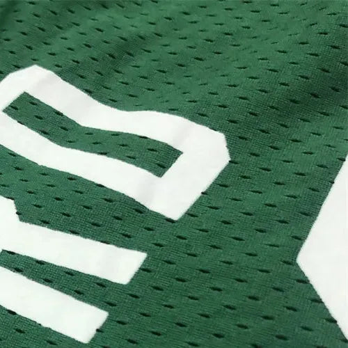 NBA Boston Celtics Mitchellness Green Jersey BIRD#33 S-XXL