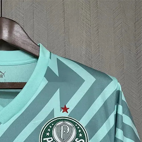 202425 Palmeiras Goalkeeper Green jersey Fan Version