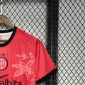 202425 Inter Milan Special Edition Jersey Fan Version