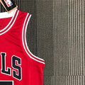 NBA Chicago Bulls Round Neck Red 75th anniversaryJersey JORDAN#45 S-XXL