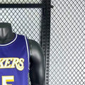 NBA 2026 Los Angeles Lakers Limit Edition Purple Jersey REAVES#15
