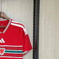Wales 2026 World Cup Home jersey Fan version